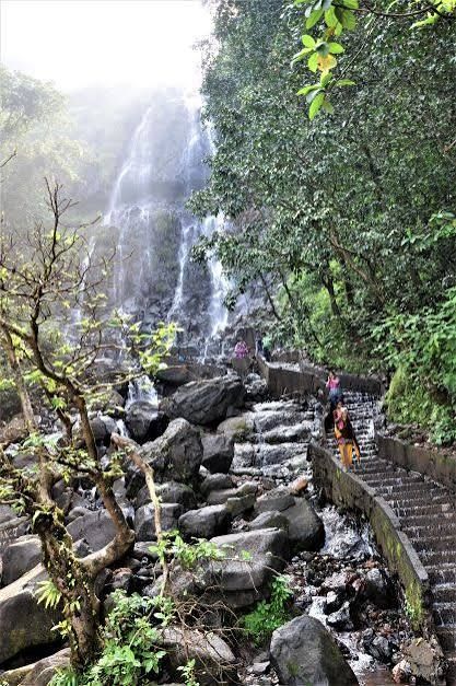 Amboli — photo 2