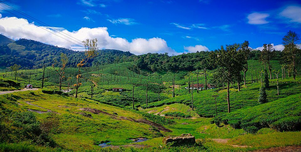 Nelliyampathy, offbeat Kerala — landscape view
