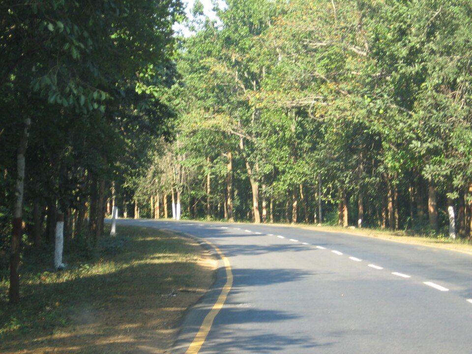 Kondagaon, offbeat Chhattisgarh — landscape view