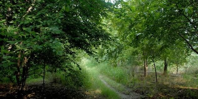 Yamuna Biodiversity Park, offbeat Delhi — landscape view