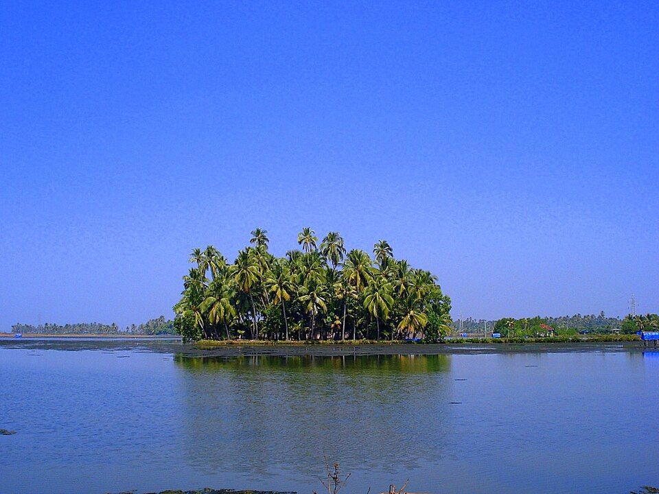 Kumbalangi, offbeat Kerala — landscape view