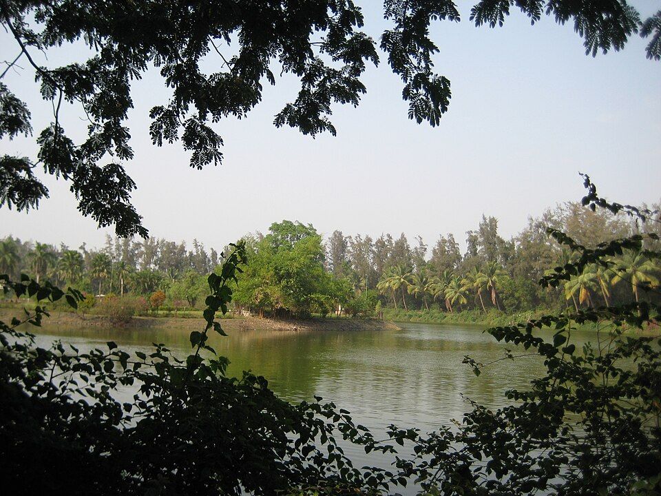 Vasona Lion Safari, offbeat Dadra & Nagar Haveli and Daman & Diu — landscape view