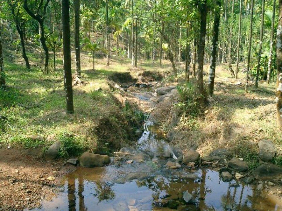 Kakkadampoyil — photo 2