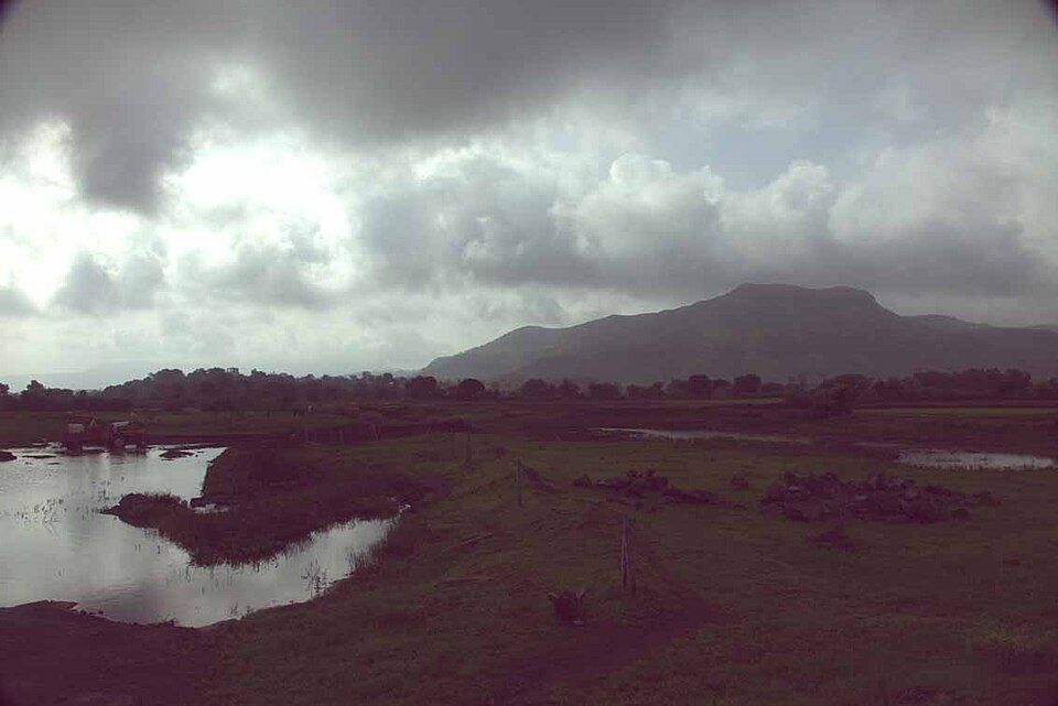 Nashik (Sula Vineyards) — photo 3