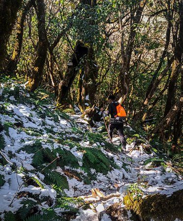 Japfu Peak — photo 3
