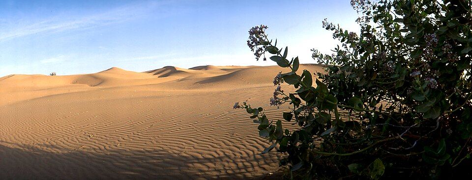 Khuri, offbeat Rajasthan — landscape view
