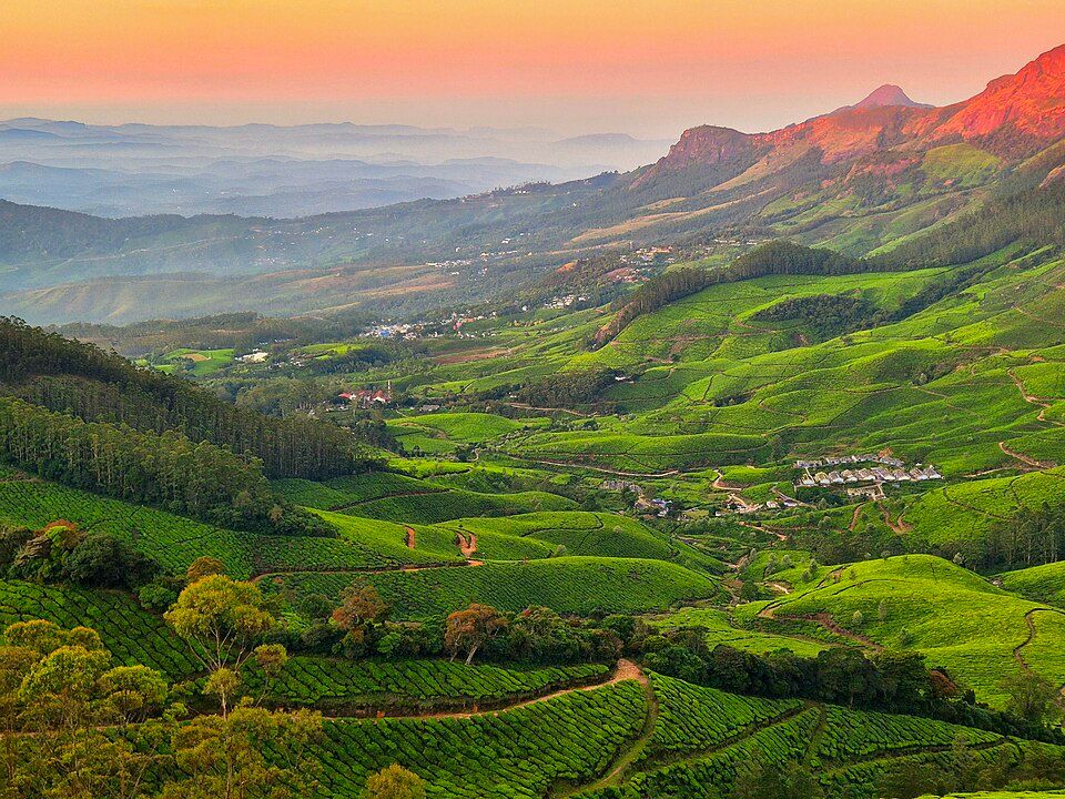 Kolukkumalai, offbeat Kerala — landscape view