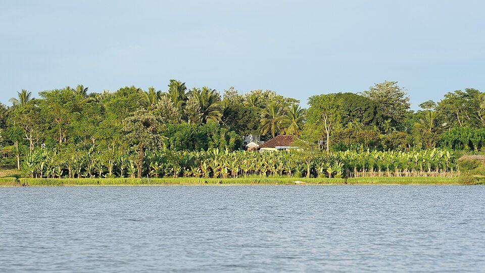 Bandipur and Nagarhole, offbeat Karnataka — landscape view