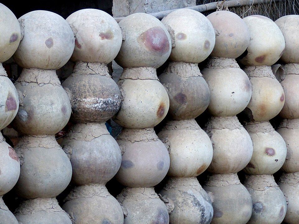 Bishnoi Villages — photo 2