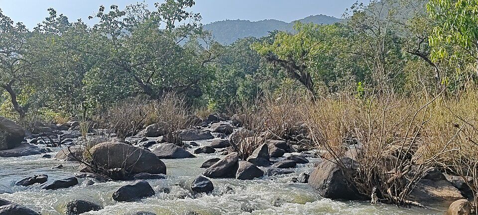 Betla National Park — photo 2