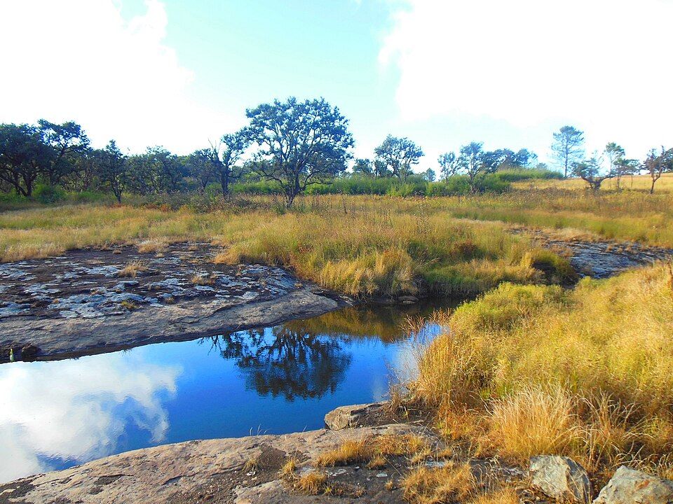 Phawngpui — photo 2