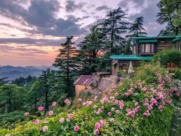 Landour, offbeat Uttarakhand — landscape view