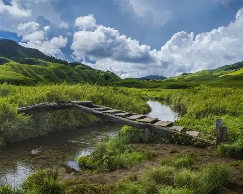 Japfu Peak, offbeat Nagaland — landscape view