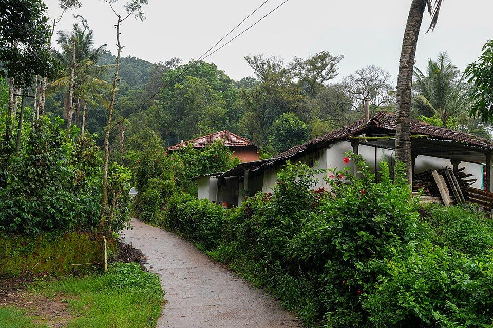 Coorg (Madikeri) — photo 2