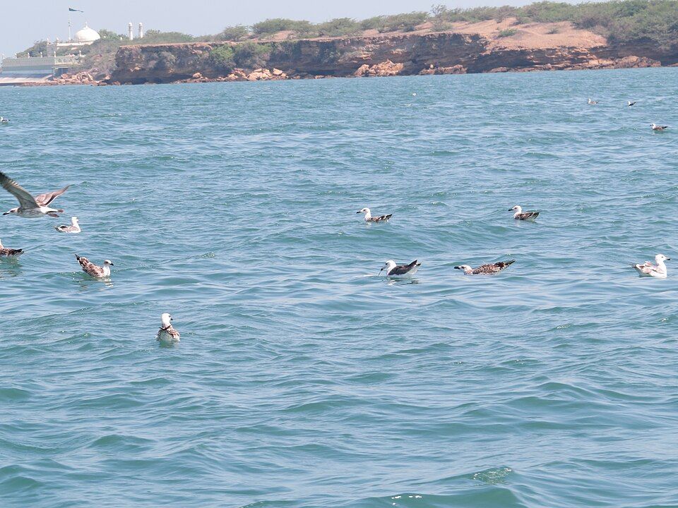 Dwarka and Bet Dwarka — photo 3