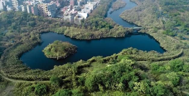 Yamuna Biodiversity Park — photo 2