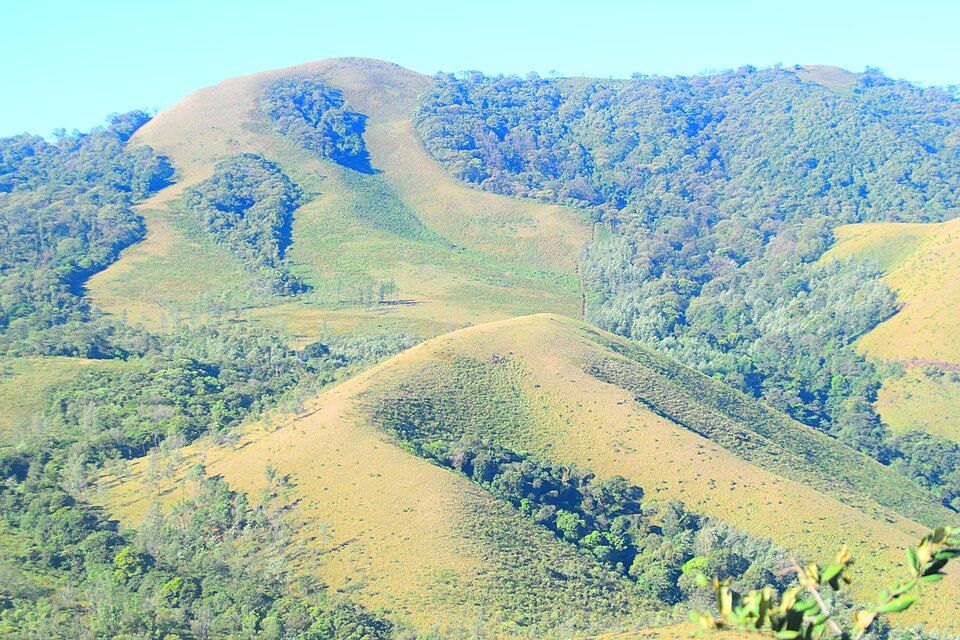 Chikmagalur — photo 3
