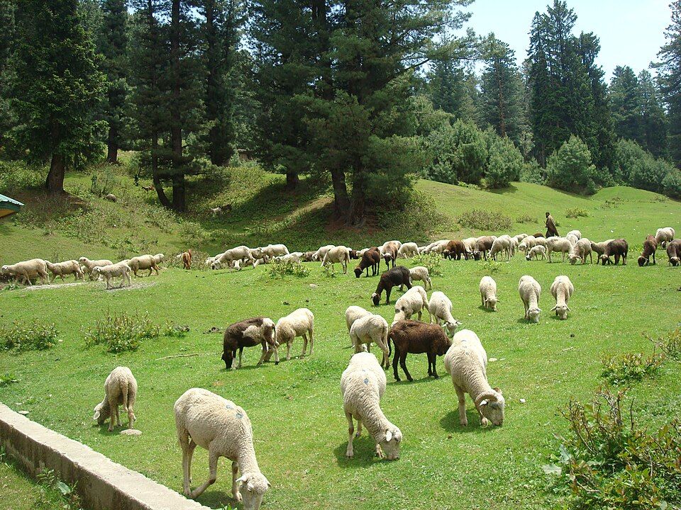 Yusmarg — photo 2