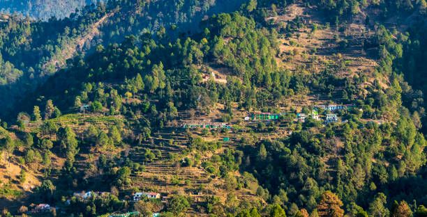 Berinag, offbeat Uttarakhand — landscape view