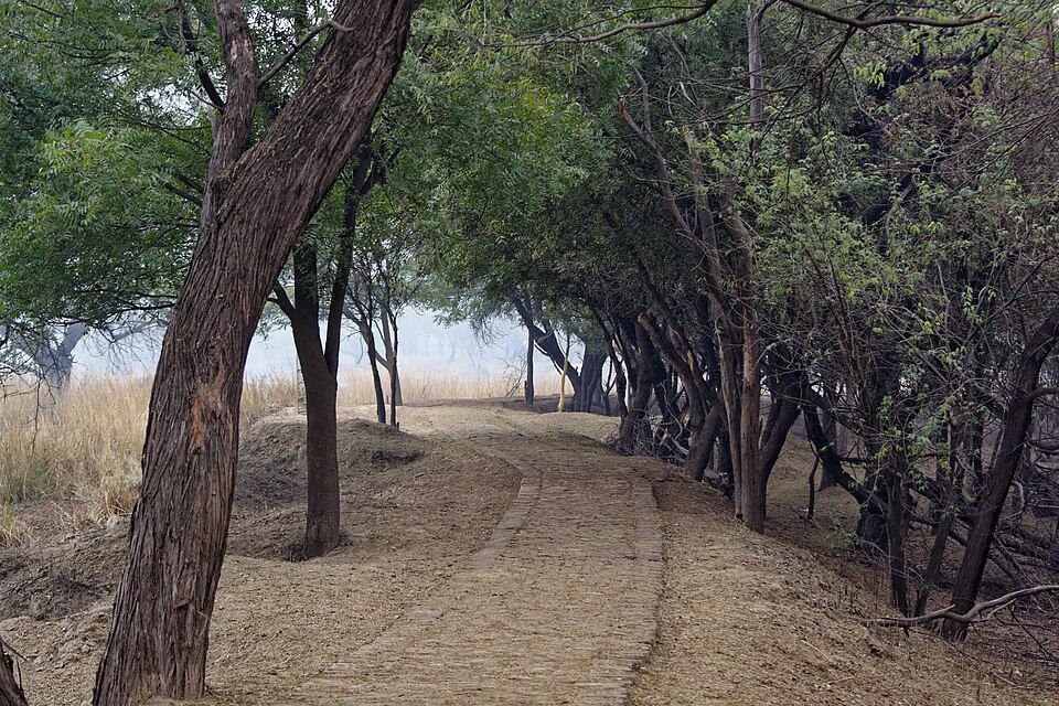 Sultanpur National Park, offbeat Haryana — landscape view