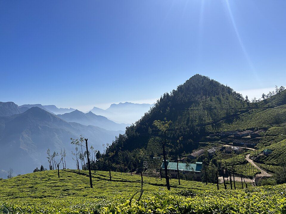 Kolukkumalai — photo 3