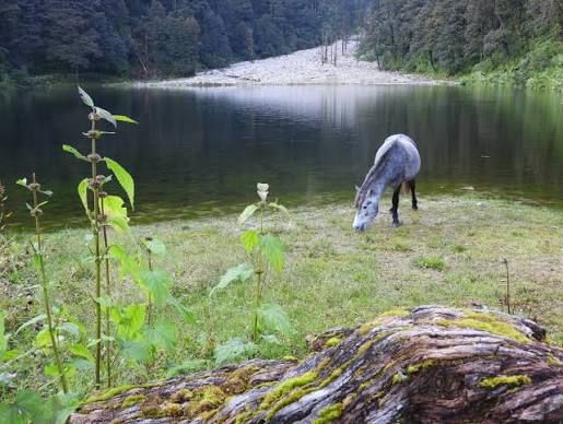 Dodital, offbeat Uttarakhand — landscape view