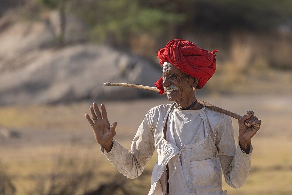 Jawai — photo 2
