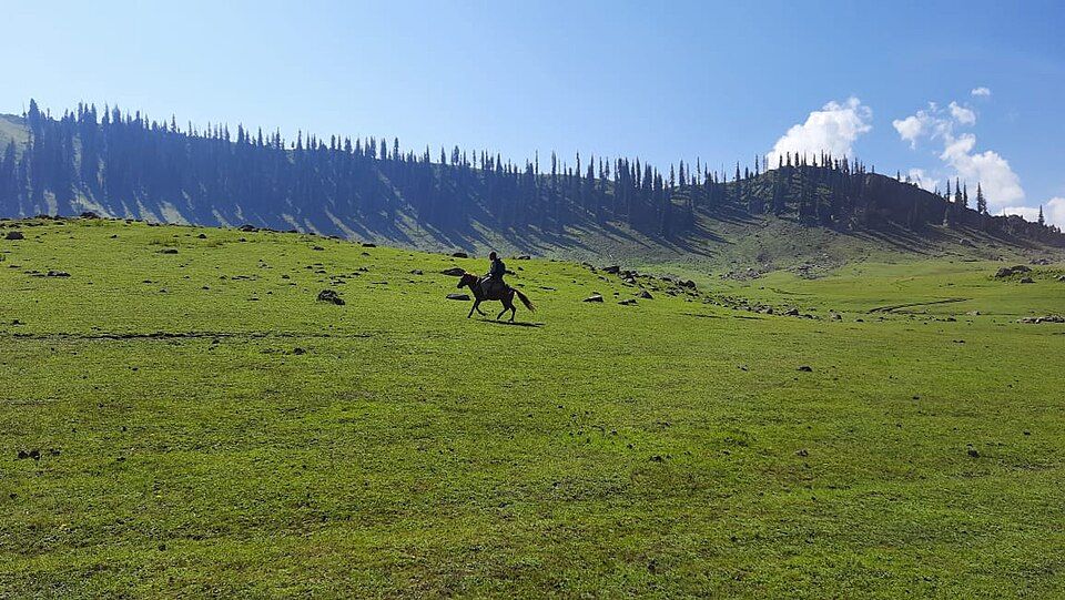 Tosamaidan, offbeat Jammu & Kashmir — landscape view