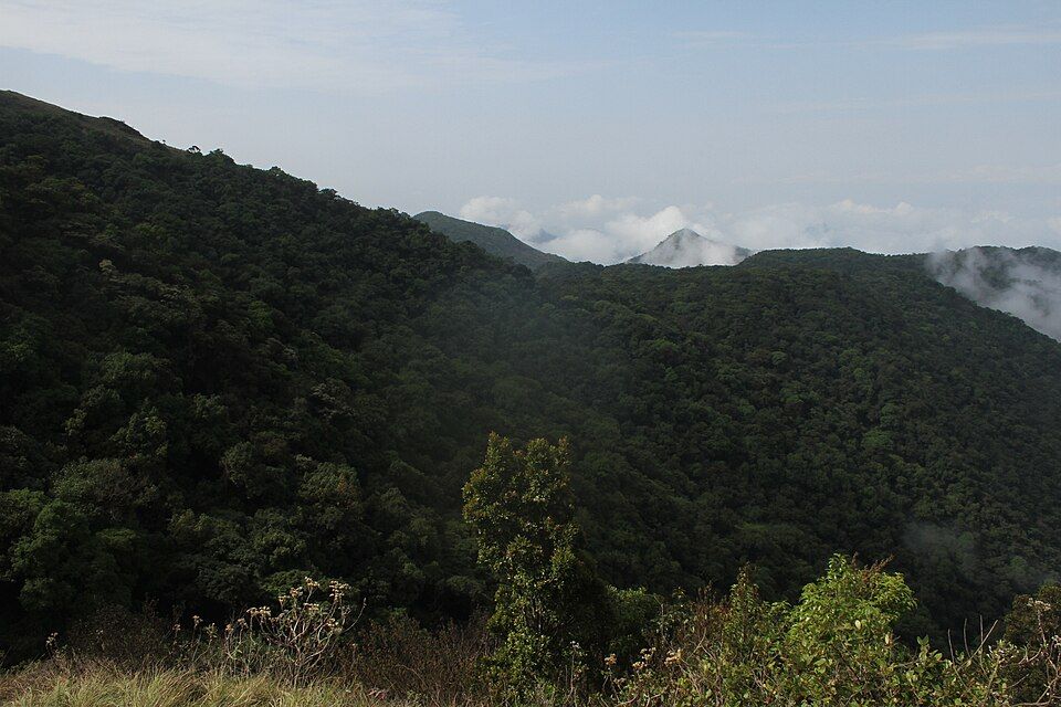 Silent Valley National Park — photo 2