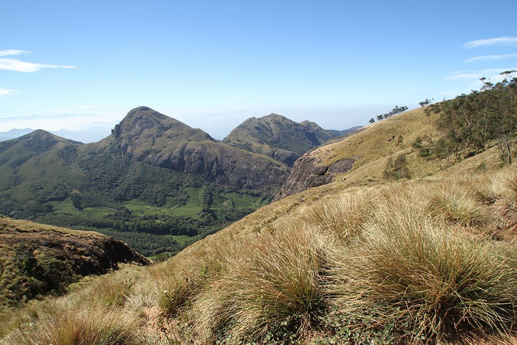 Meesapulimala — photo 3