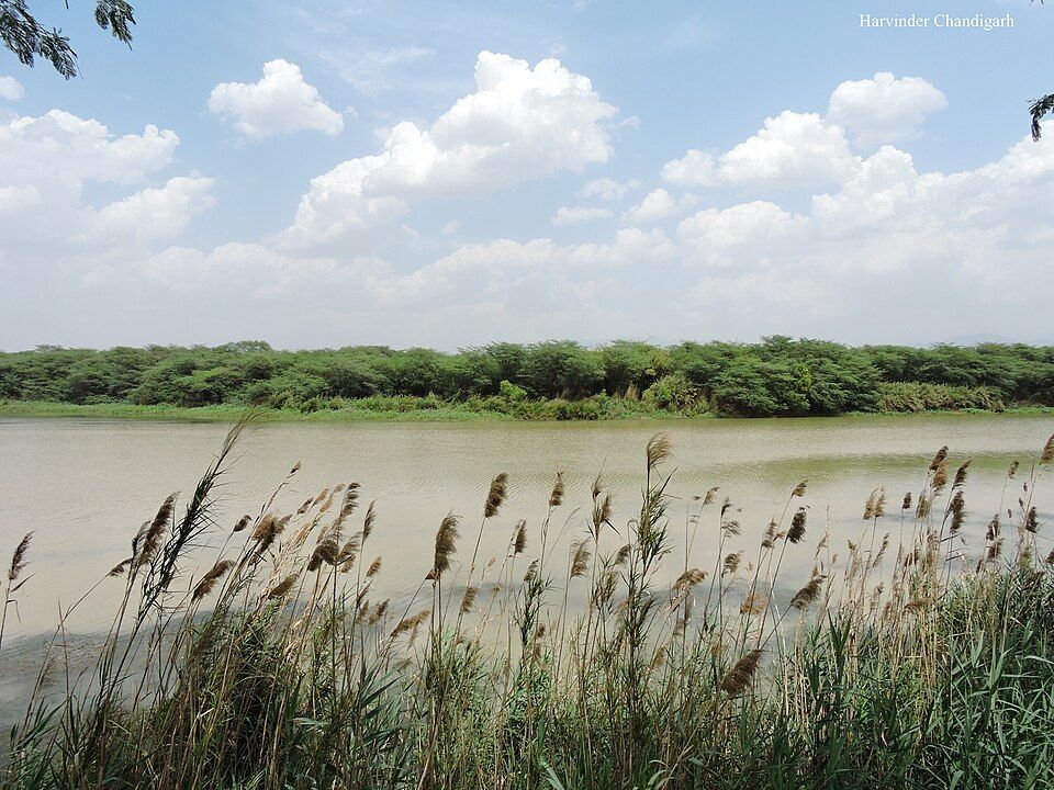 Sukhna Wildlife Sanctuary, offbeat Chandigarh — landscape view