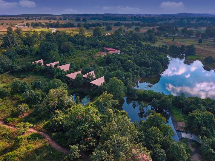 Pench Tree Lodge