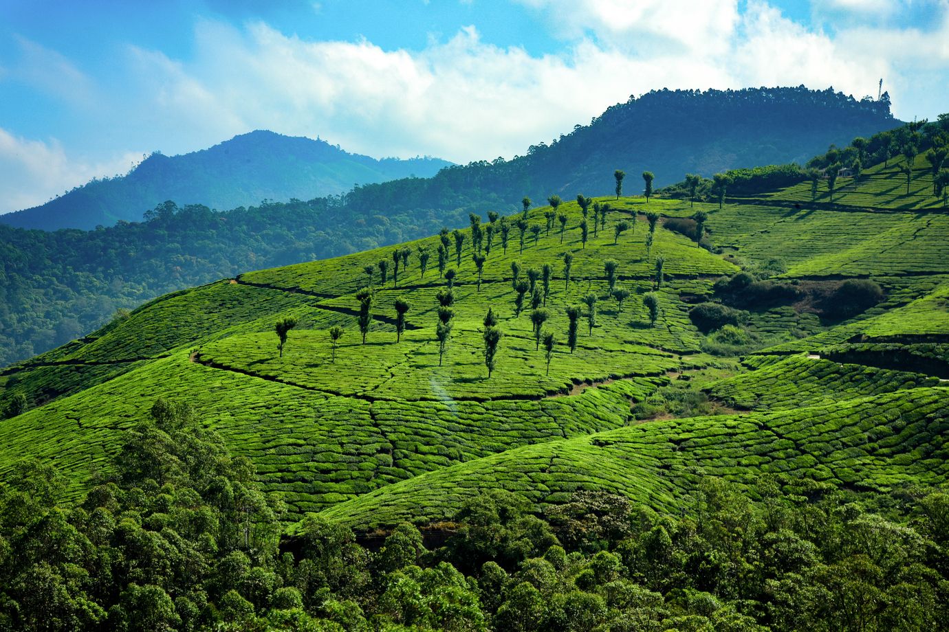 Classic Kerala Escape - Hills, Backwaters & Beaches | 6 Nights — 1N Munnar · 1N Munnar · 1N Thekkady · 1N Alleppey · 1N Kovalam · 1N Kovalam