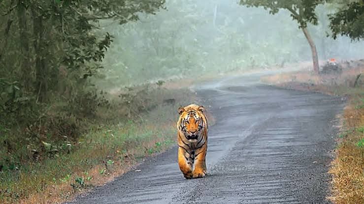 Golden Triangle with Ranthambore — 2N Delhi · 1N Agra · 2N Ranthambore · 2N Jaipur