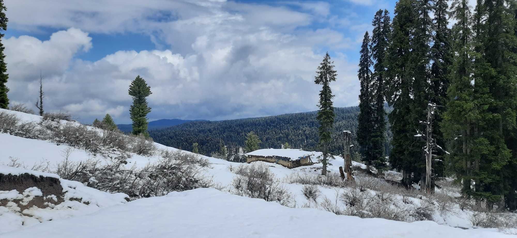 Kashmir 4 Nights 5 Days - Minimum 4 persons — 4N Srinagar