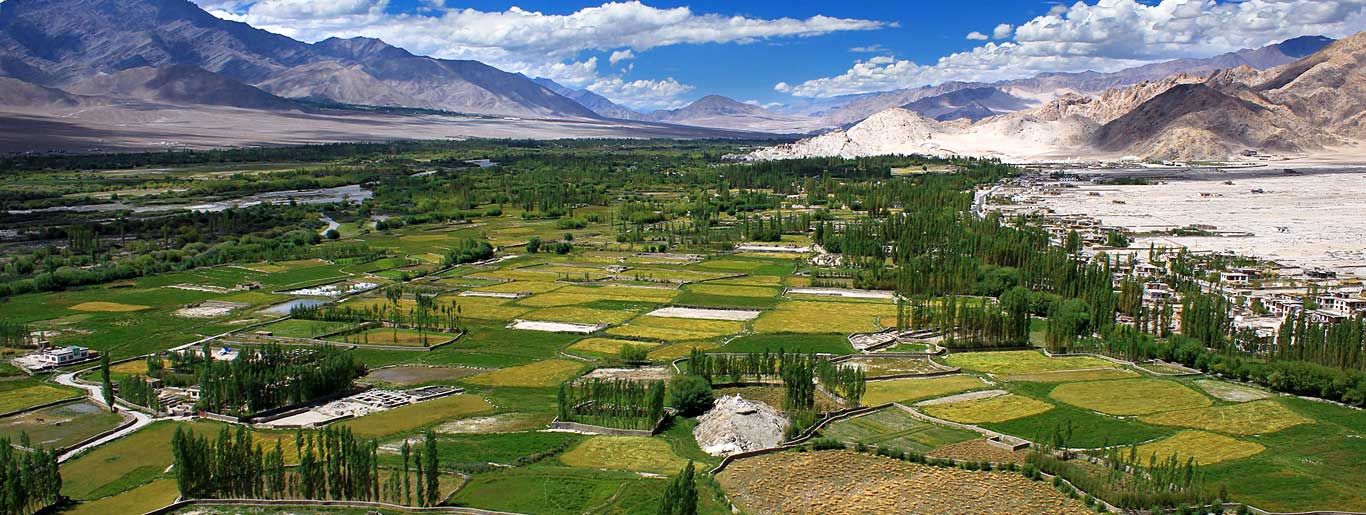 Ladakh – The Land of High Passes — 1N Leh · 1N Leh · 1N Nubra Valley · 1N Pangong Tso · 1N Leh