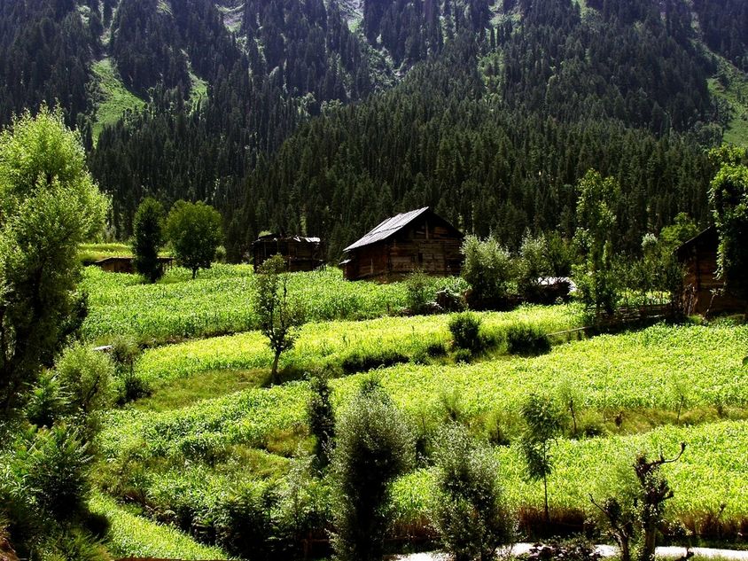 Kashmir OffSeason Dhamaka — Srinagar · Gulmarg · Pahalgam · Sonmarg