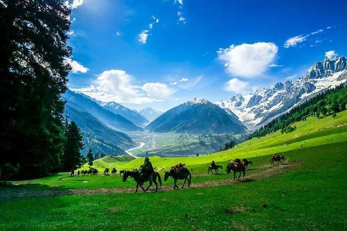 Kashmir Tour Package 7 days — 2N Srinagar · 1N Gulmarg · 2N Pahalgam · 1N Srinagar